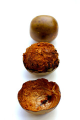 Luo Han Guo or Siraitia grosvenorii, Monk fruit