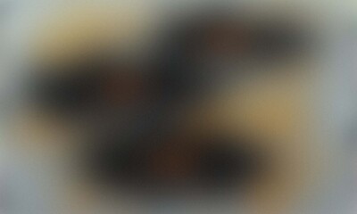 Close up of a black and tan dachshund puppy sleeping peacefully on a soft surface