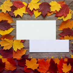 Autumn Leaves Creative Frame With Blank White Rectangles