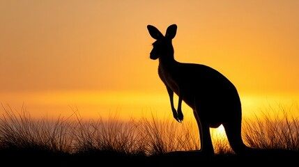 kangaroo silhouette close up, dramatic sunset sky, golden horizon, realistic wildlife photography