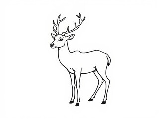 Illustration of a deer with antlers standing on a white background  
