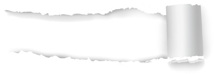 Fototapeta premium torn paper background