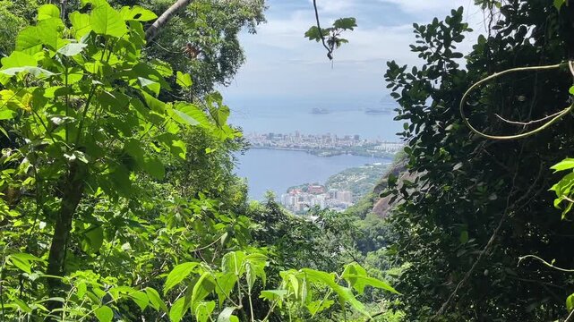 rio de janeiro cityscape beutiful nature coastal line view from the hill