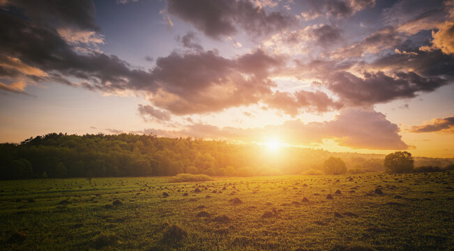 Peaceful meadow landscape with golden sunset creates serene mood. Idyllic rural scene for posters, calendars, nature themes and backgrounds. Vintage film asthetic. - Powered by Adobe