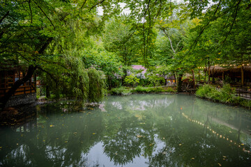 Fototapeta premium Restaurant pond with reflections in Qabala
