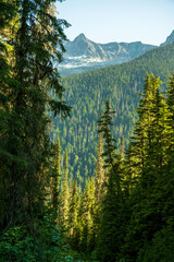 Canada - mountain lake in autumn © Dawid