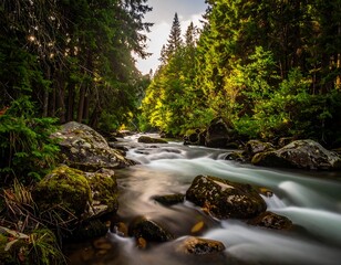 A serene mountain stream meanders through a lush forest. Sunlight filters through the trees