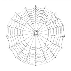 Obraz premium Circular spider web drawing