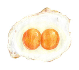 手描きの双子卵の目玉焼きのイラスト