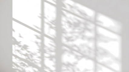 shadow overlay effects of realistic abstract windows shadow on transparent background,Summer sunlight and shadow overlay effect,shadow for photo interior backdrop studio mockup