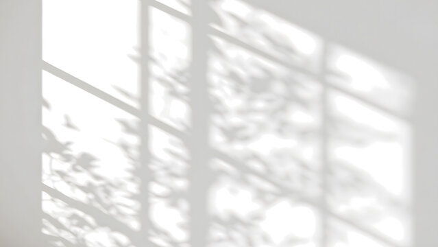 shadow overlay effects of realistic abstract windows shadow on transparent background,Summer sunlight and shadow overlay effect,shadow for photo interior backdrop studio mockup