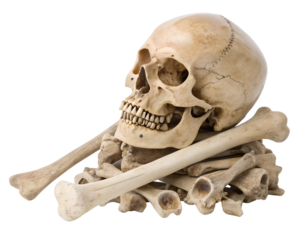 Human skull and bones isolated on transparent background