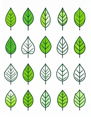 Set of various leaf shapes in shades of green