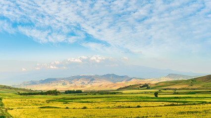 amazing golden summer landscape of beautiful golden wheaten field with scenic farmland view to...