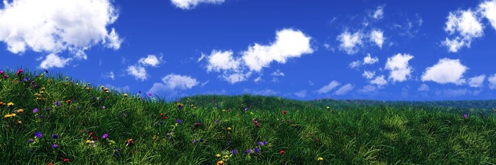 Panorama of a meadow with flowers, flowers and grass, grassy hill, blue sky with clouds and a meadow with flowers, 3D rendering