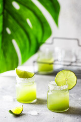 Cocktail shots on a modern, textured surface. The glasses are rimmed with salt and garnished with lime slices, while a large monstera leaf adds a pop of tropical color and style.