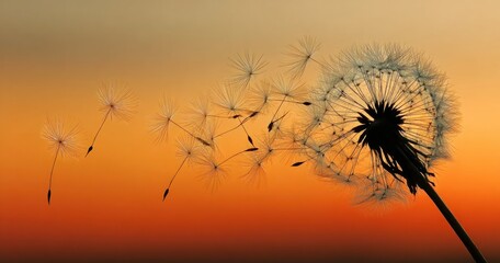 A silhouette of a dandelion seed head, with seeds carried away by the wind, against a warm sunset background, showcasing delicate beauty and a sense of freedom.
