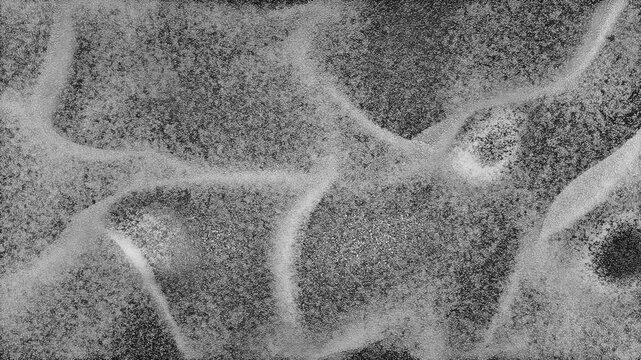 Abstract black and white cymatic sound wave vibration pattern. Design