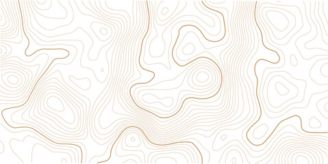 Topographic map background geographic line map with elevation assignments. Topographic map lines, contour background. topo map texture.