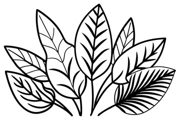 black and white leaves