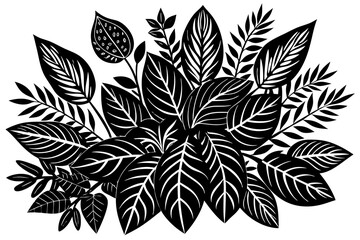 black and white flowers