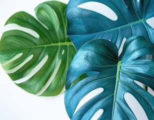 Tropical leaves, vibrant green and teal, arranged on a white background
