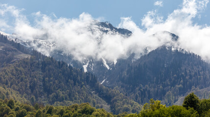 Mountain range with snow on the top and trees in the foreground