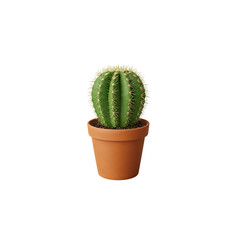 Cute Potted Cactus: Perfect for Minimalist Home Decor