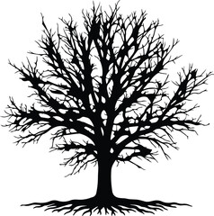 Obraz premium Vector Bare tree branches silhouette isolated on white background Illustrator