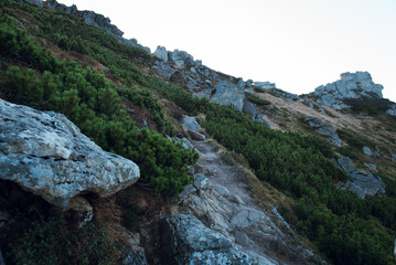 Rocky Mountain Trail with Greenery