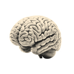 Halftone human brain vector illustration isolated background for mixed media art. 