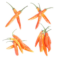 Set collection or collage of red birds eye chili isolated on transparent background