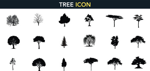 Palm tree silhouette outline set tropical side view, vector line drawing elements for architectural landscape design. Stroke illustration graphics on white background