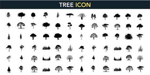 Tree silhouette outline set tropical side view, vector line drawing elements for architectural landscape design. Stroke illustration graphics on white background