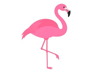 Fototapeta premium Pink flamingo illustration