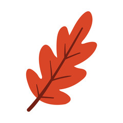 Flat style autumn leaf in terracotta red color, simple seasonal foliage illustration on white background