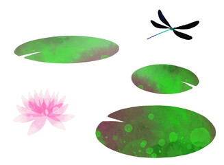 睡蓮とハグロトンボのイラスト素材　ベクター