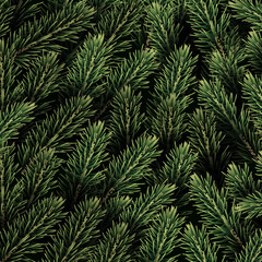 Christmas and New Year greeting green fir trees background