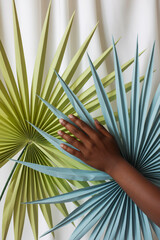 Hand on Palm Leaves kj6madj2rkyhjsz7qv8t0q showcasing