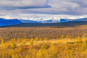 Mountain plateau in autumn colors in the north of Scandinavia