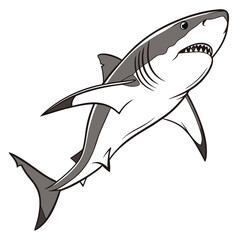 Fototapeta premium Aggressive shark illustration with open mouth and sharp teeth on white background Keywords: shark, great