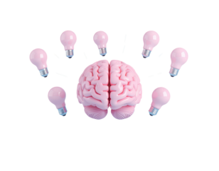 Human brain with multiple lightbulbs floating around creative intelligence innovation imagination knowledge learning idea thinking isolated on white background