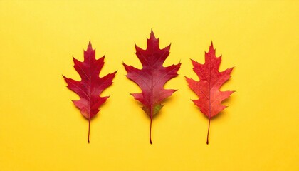Three vibrant red autumn leaves against a bright yellow background