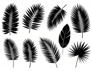 Obraz premium Collection of black silhouettes of tropical palm leaves