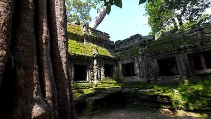 Ta Prohm, the Tomb Raider Temple in Cambodia, showcases nature reclaiming