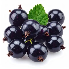 Dark purple berries in cluster with a leaf