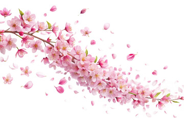 pink cherry blossom background. View of pink flowers in a row