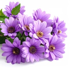 A bouquet of vibrant purple flowers
