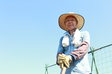 畑で作業するシニア男性