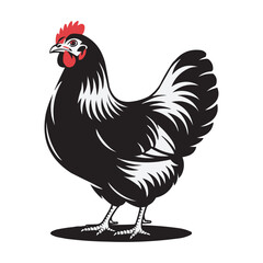 Black Hen Vector Illustration – Farm Chicken with Red Comb and Detailed Feathers